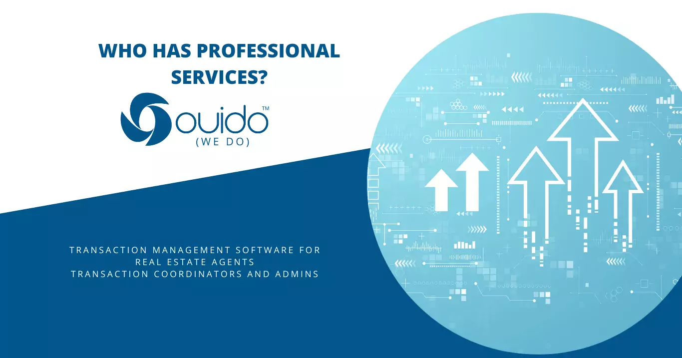 Ouido Professional Services